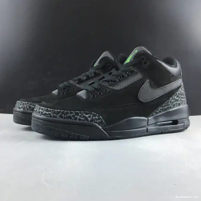 AJ3-902027 3 Jordan Oregon Air Retro Duck 0508